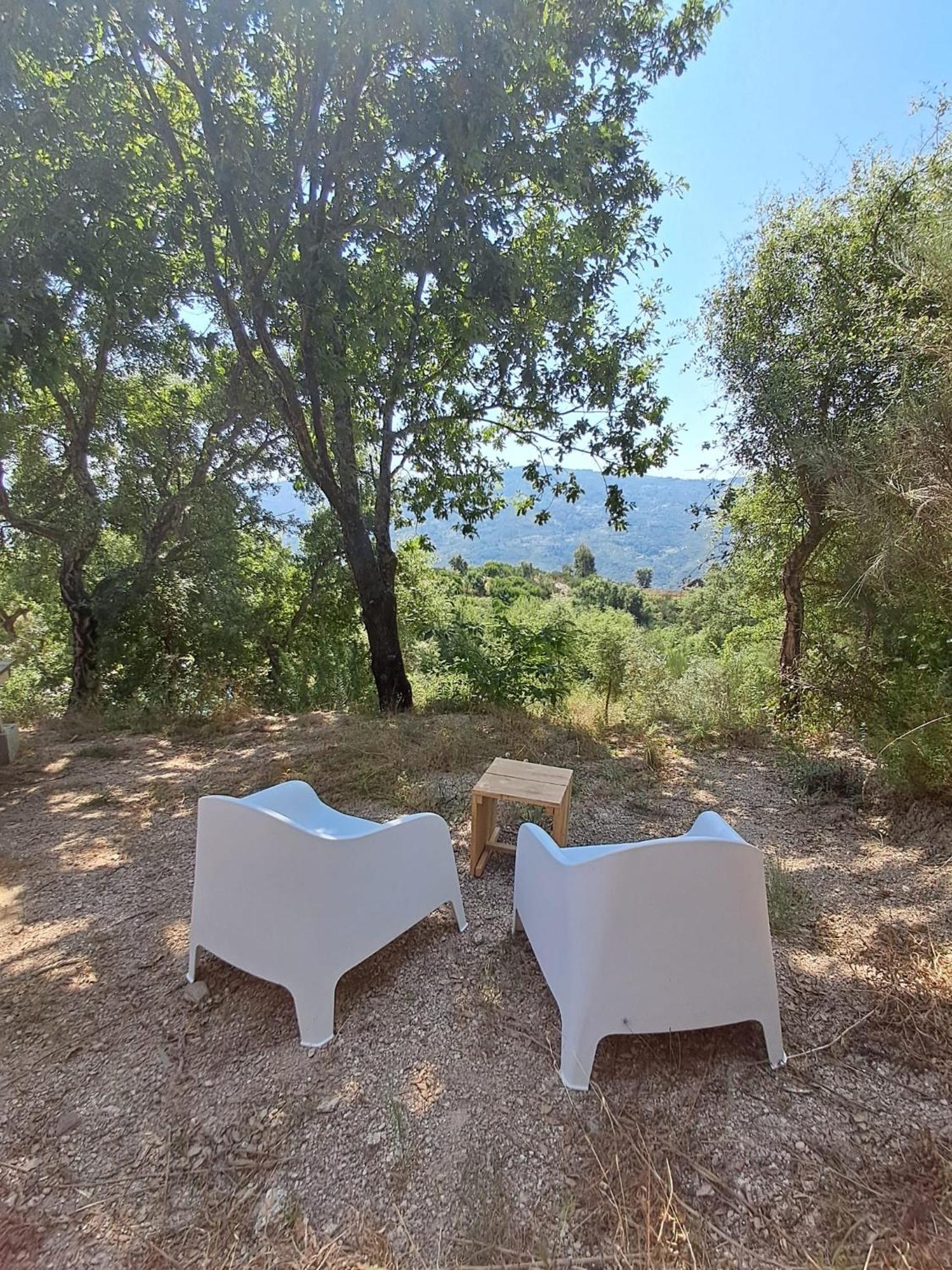 הוילה Folhadosa Monkey Tiny Barnhouse With Amazing Views! מראה חיצוני תמונה