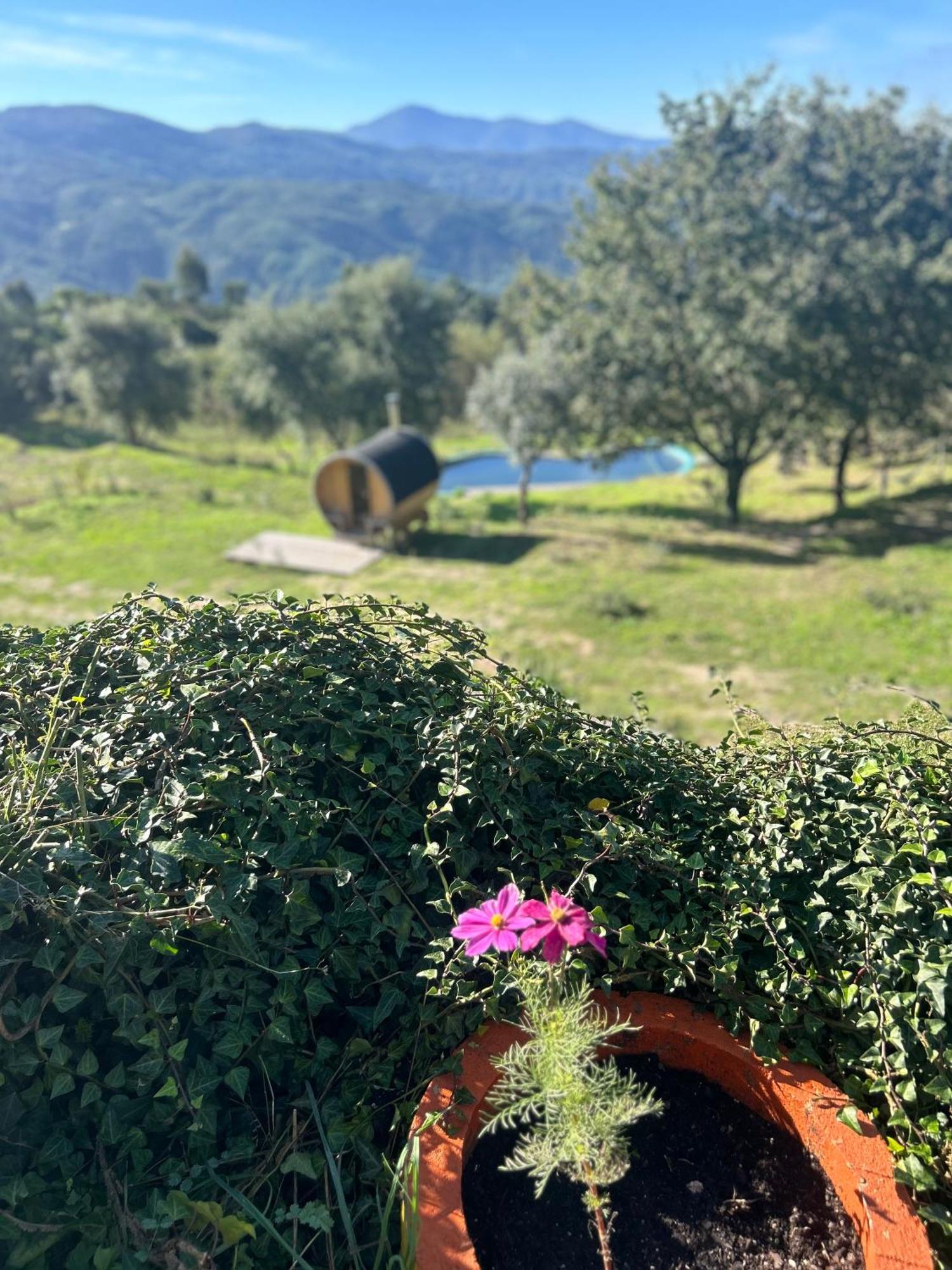 הוילה Folhadosa Monkey Tiny Barnhouse With Amazing Views! מראה חיצוני תמונה